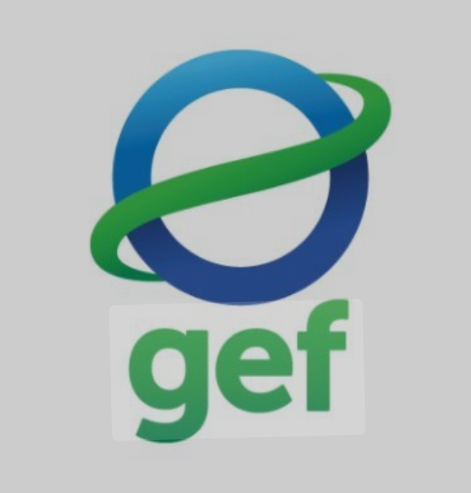 Global Environment Facility (GEF) 2024 GLOBAL Internship Program